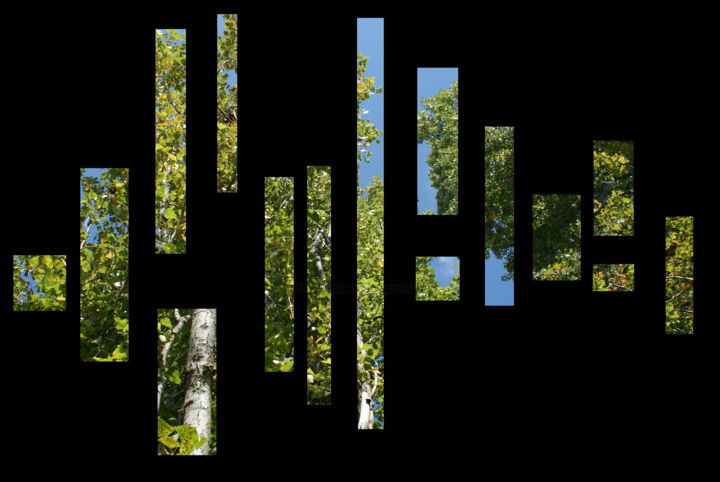 Digital Arts titled "Tree Composition" by Gerald Shepherd F.F.P.S., Original Artwork, Photo Montage