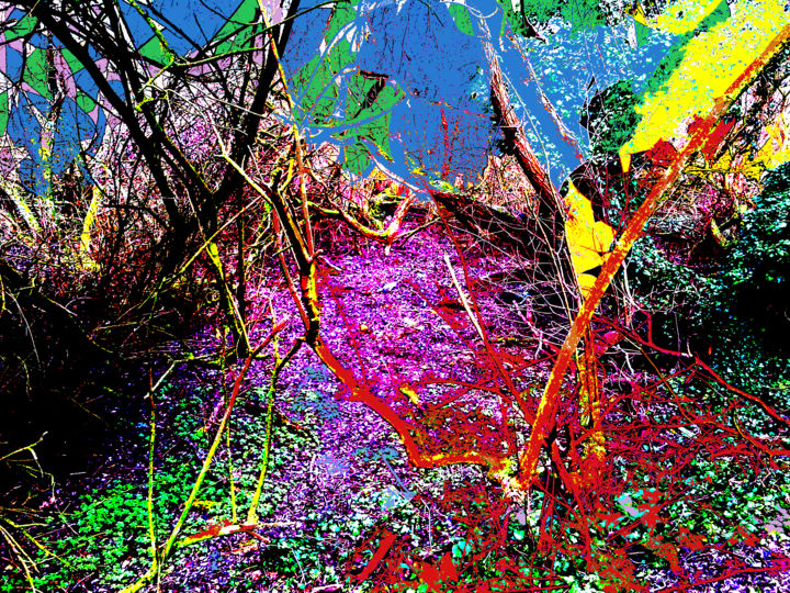 Digitale Kunst getiteld "Landscape Experimen…" door Gerald Shepherd F.F.P.S., Origineel Kunstwerk, 2D Digital Work
