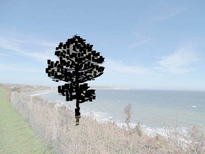 Digital Arts titled "Seaside Tree" by Gerald Shepherd F.F.P.S., Original Artwork, 2D Digital Work
