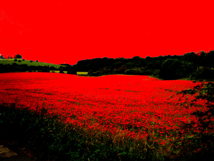 Digital Arts titled "Red Landscape" by Gerald Shepherd F.F.P.S., Original Artwork, 2D Digital Work