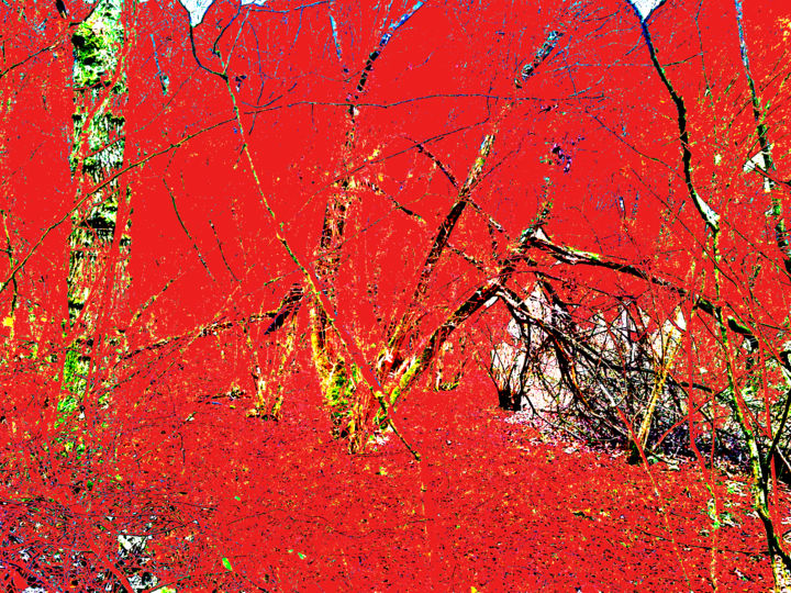Digitale Kunst mit dem Titel "Red Forest" von Gerald Shepherd F.F.P.S., Original-Kunstwerk, 2D digitale Arbeit