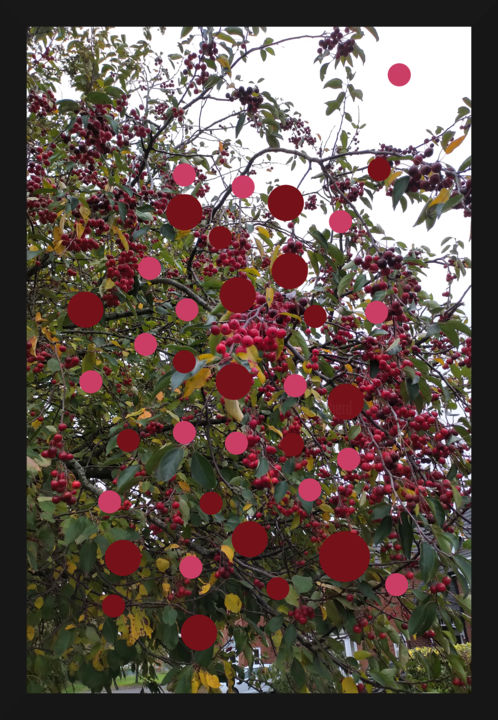 Digital Arts titled "Berry Add" by Gerald Shepherd F.F.P.S., Original Artwork, 2D Digital Work