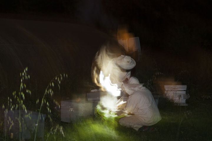 Photographie intitulée "Transhumance noctur…" par Gerard Jeanjean, Œuvre d'art originale