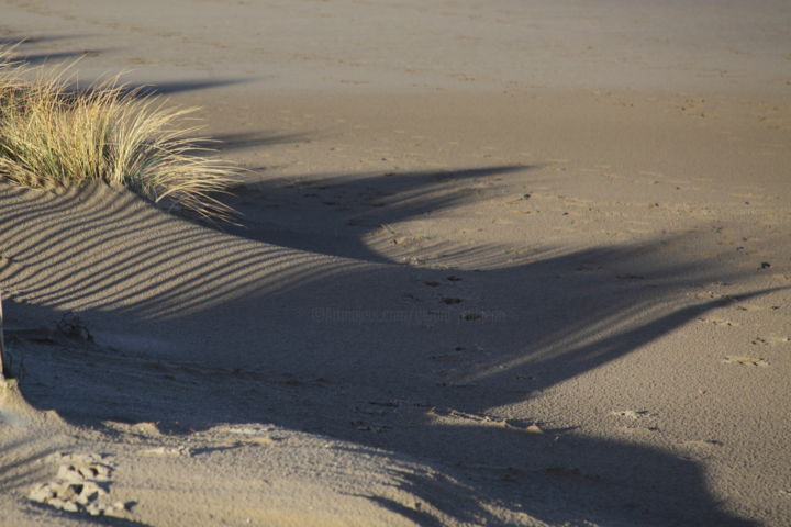 Photographie intitulée "esprit de dune" par Gerard Jeanjean, Œuvre d'art originale