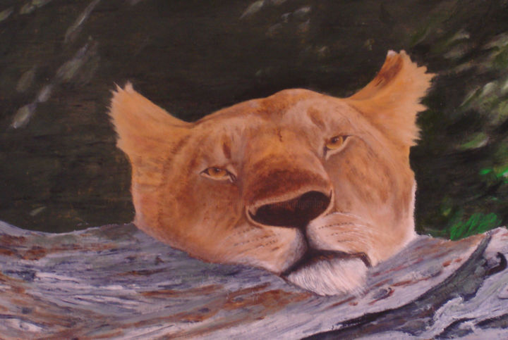 Painting titled "petite lionne au re…" by Gerard Dugardin, Original Artwork