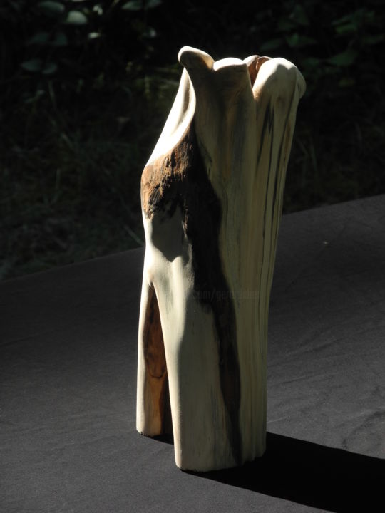 Sculpture titled "BOULEAU" by Gérard Didier, Original Artwork, Wood