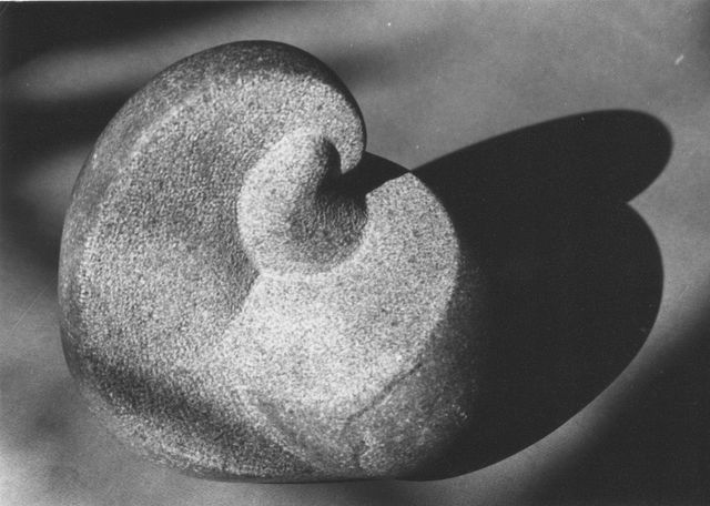 Escultura intitulada "GERME" por Gérard Didier, Obras de arte originais, Pedra
