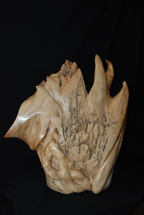 Sculpture titled "APRES LES XYLOPHAGE…" by Gérard Didier, Original Artwork, Wood