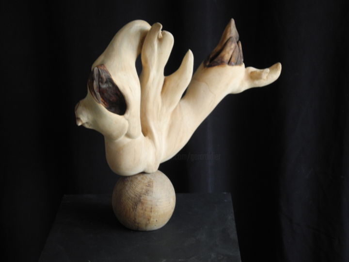 Sculpture titled "TILLEUL 2" by Gérard Didier, Original Artwork, Wood