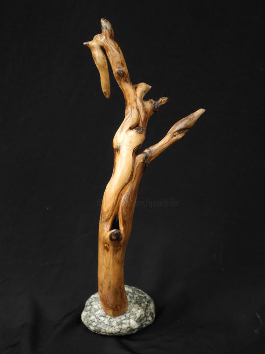 Sculpture titled "CYTISE 3" by Gérard Didier, Original Artwork, Wood