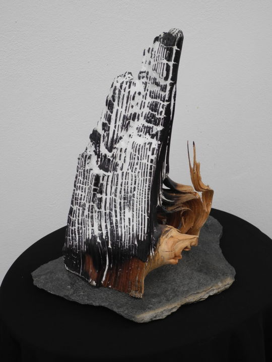 Sculpture titled "ECLAT 3" by Gérard Didier, Original Artwork, Wood