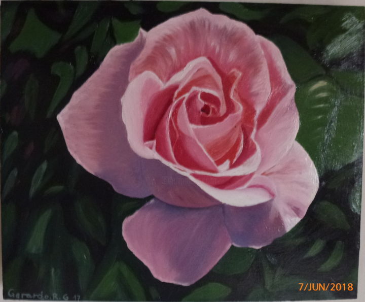 Painting titled "Rosa" by Gerardo Rodriguez Granda, Original Artwork, Oil Mounted on Other rigid panel