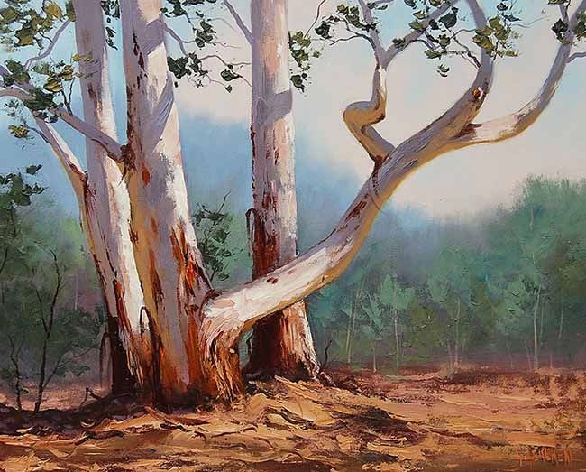 Painting titled "Stand of Gums Austr…" by Graham Gercken, Original Artwork, Oil