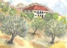Painting titled "A house in Olive Gr…" by Ghassan Rached, Original Artwork, Oil