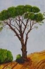 Painting titled "Single Pine Tree" by Ghassan Rached, Original Artwork