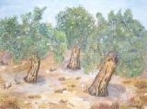Painting titled "Three Olive Trees" by Ghassan Rached, Original Artwork, Oil