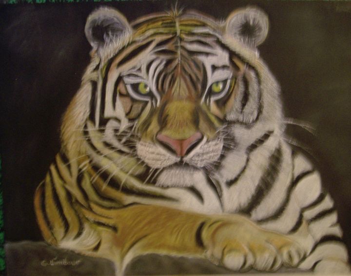 Painting titled "tigre de sibérie" by Ghislaine Limbour, Original Artwork, Pastel