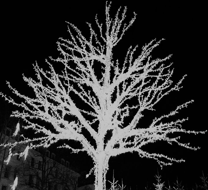 Photographie intitulée "White tree" par Giart, Œuvre d'art originale, Photographie numérique
