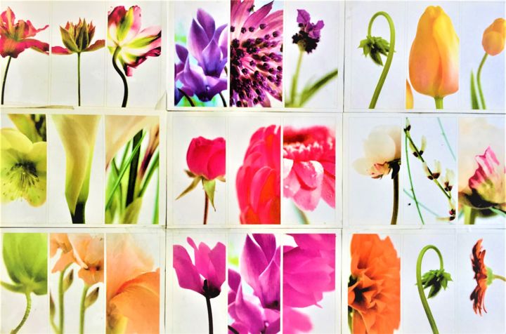 Photographie intitulée "Flower palette" par Giart, Œuvre d'art originale, Photographie numérique