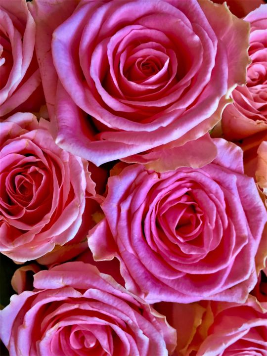 Photography titled "Pink roses" by Giart, Original Artwork, Digital Photography