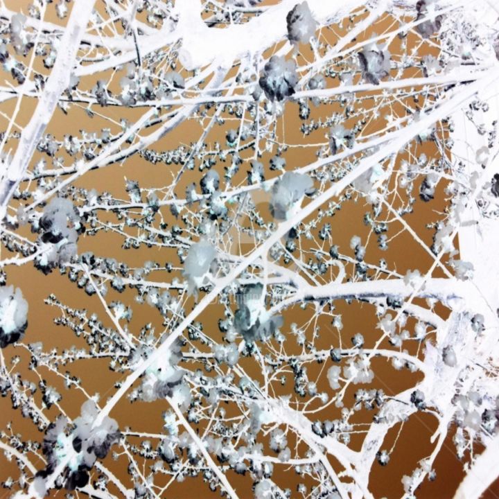 Fotografia intitolato "fiocchi-di-neve.jpg" da Gianluca Vetrugno, Opera d'arte originale, Fotografia digitale