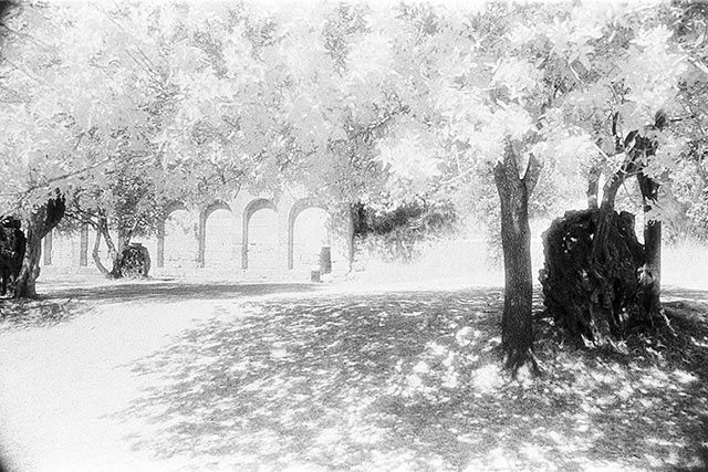 Photography titled "Acropolis – The park" by Gianluca Faletti, Original Artwork