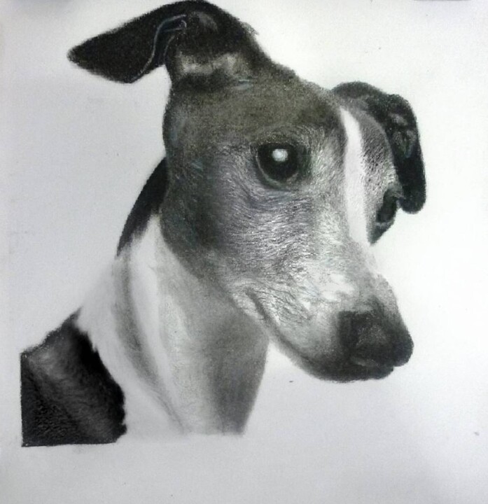 Drawing titled "Dog" by Giannecarlo Comissiong, Original Artwork, Pencil