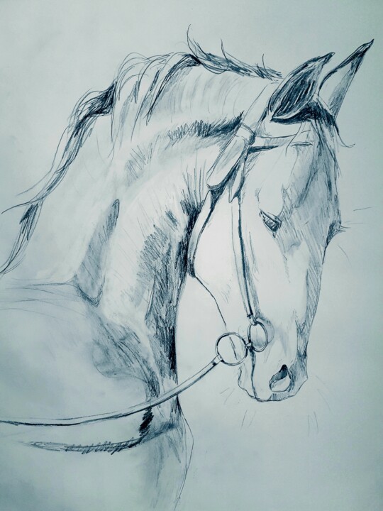 Drawing titled "Cheval 8" by Gil Aline, Original Artwork, Pencil