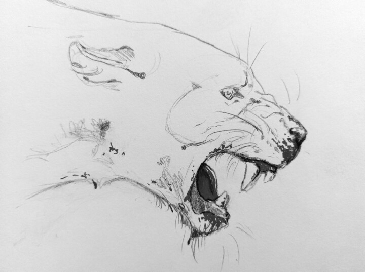 Drawing titled "Lionne" by Gil Aline, Original Artwork, Pencil