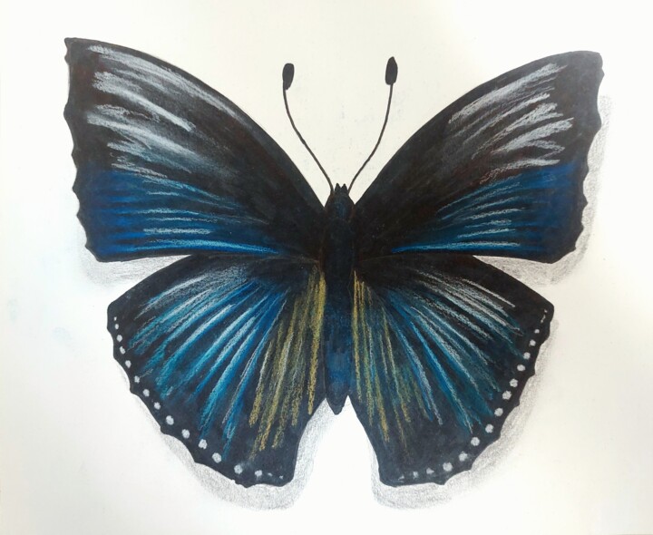 Drawing titled "Papillon" by Gil Aline, Original Artwork, Pencil