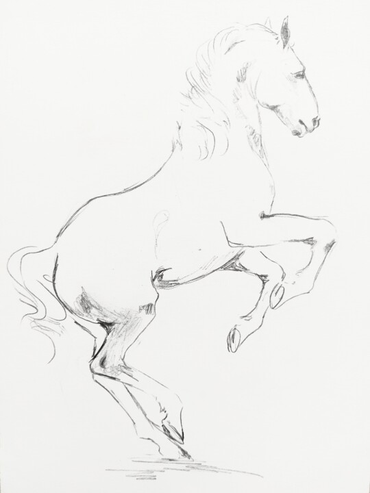 Drawing titled "Cheval 12" by Gil Aline, Original Artwork, Pencil