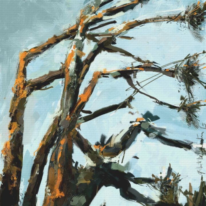 Arte digitale intitolato "Pines" da Gilberto De Martino, Opera d'arte originale, Pittura digitale