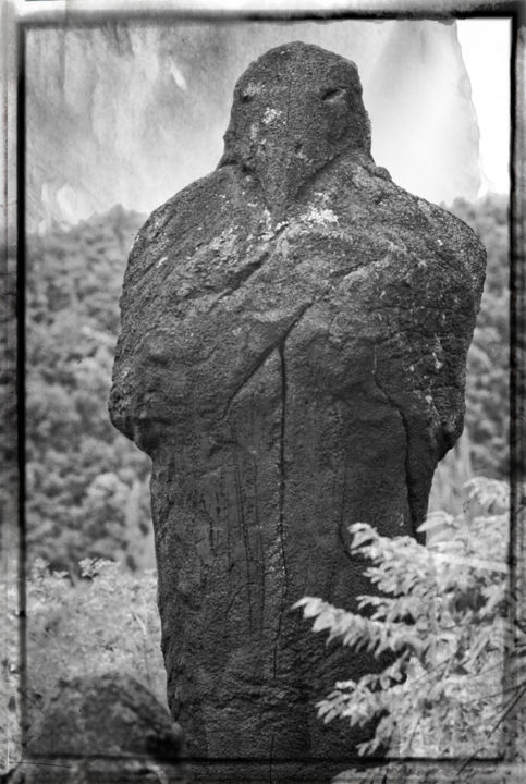 Photographie intitulée "Les guetteurs du vo…" par Gilles Dumur, Œuvre d'art originale, Photographie argentique