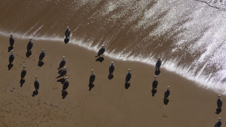 Photographie intitulée "sans titre" par Gilles Mével, Œuvre d'art originale