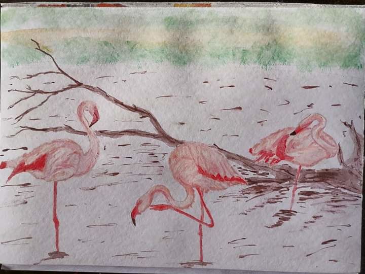 Pittura intitolato "I fenicotteri" da Giorgia Belvisi, Opera d'arte originale, Acquarello