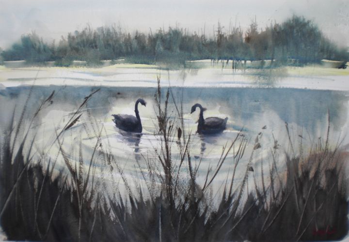 제목이 "swans 2"인 미술작품 Giorgio Gosti로, 원작, 수채화