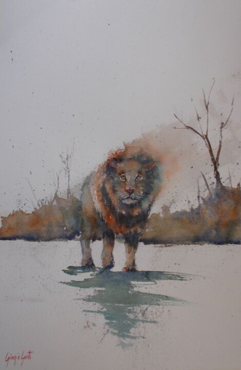 Картина под названием "lion 4" - Giorgio Gosti, Подлинное произведение искусства, Акварель