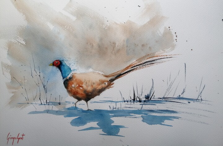 Painting titled "pheasant" by Giorgio Gosti, Original Artwork, Watercolor