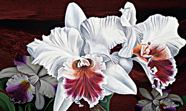 Digital Arts titled "Orquídeas de neve" by Girard Van Dick, Original Artwork, Digital Painting