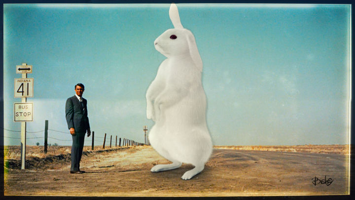 Цифровое искусство под названием "Noth by the rabbit" - Bisha, Подлинное произведение искусства, Цифровая живопись