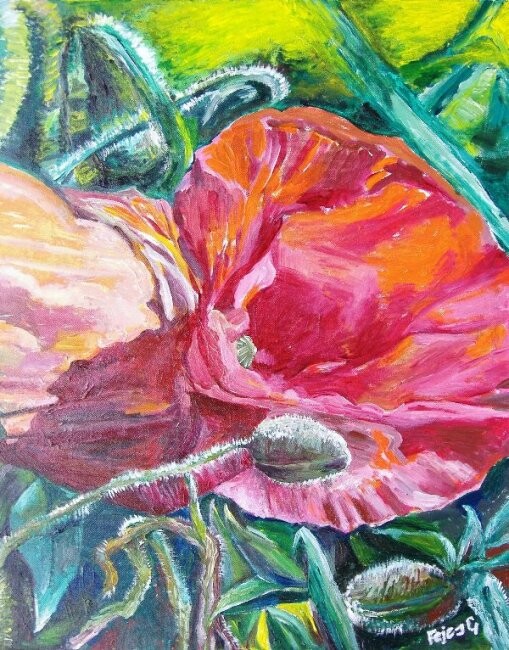 Painting titled "Poppy Flower" by Gizella Fejes, Original Artwork, Oil