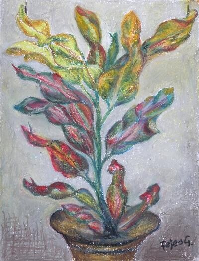 Painting titled "Croton" by Gizella Fejes, Original Artwork