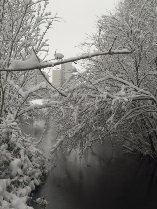 Photographie intitulée "SOUS LA NEIGE" par Gladys Montella, Œuvre d'art originale