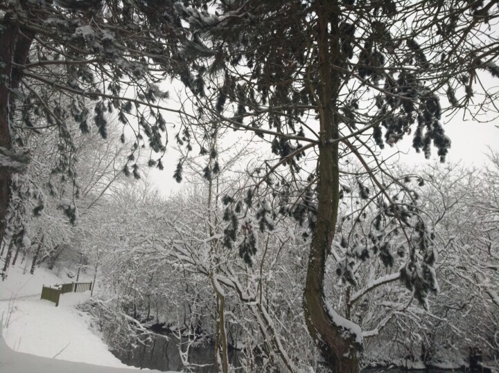 Photographie intitulée "SNOW SNOW" par Gladys Montella, Œuvre d'art originale