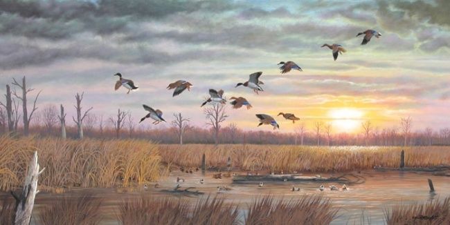 Malarstwo zatytułowany „Sunset Mallards” autorstwa Jerrie Glasper, Oryginalna praca, Olej