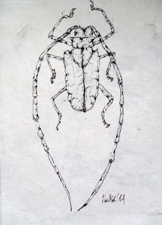 Disegno intitolato "Beetle" da Michele Carosella, Opera d'arte originale, Inchiostro