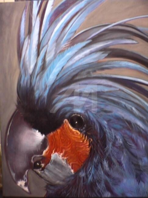 Painting titled "Palm Cockatoo" by Glenda Fell Jones, Original Artwork, Oil