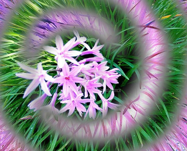 Photography titled "Spring Sprigs" by Glenn Durrance, Original Artwork, Digital Photography