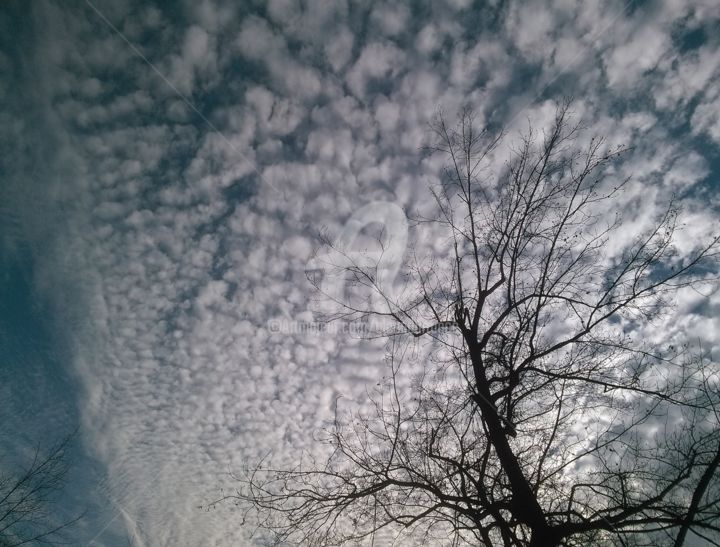Photography titled "January Clouds 2" by Glenn Durrance, Original Artwork