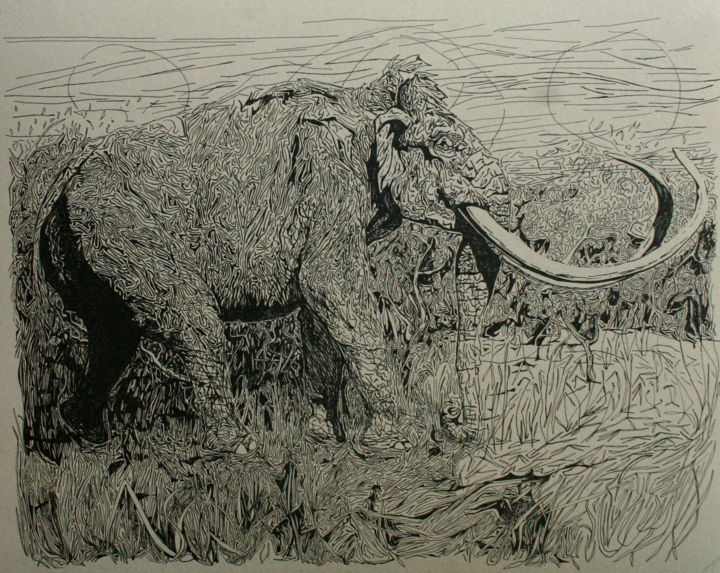 Drawing titled "Mammouth" by Grégory M. Compagnon, Original Artwork, Ink